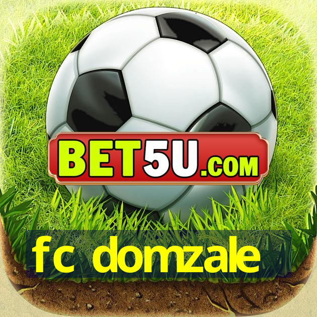 fc domzale